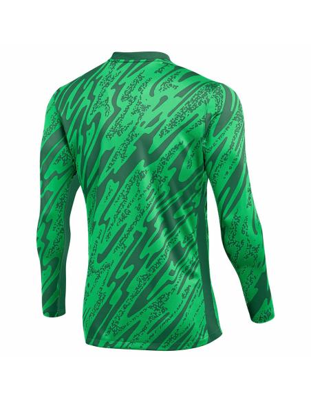 Bluza Nike Gardien V Goalkeeper DF V FD7474-329