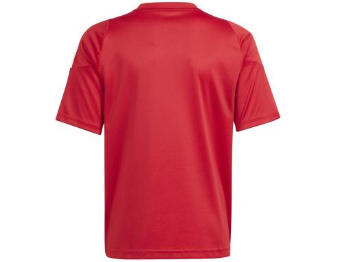 Koszulka adidas TIRO 24 JSY Jr IS1030