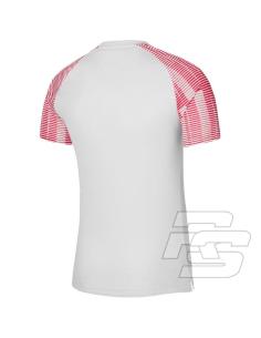 Koszulka Nike Dri-Fit Academy JSY Jr DH8369-100 2