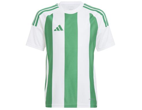 Koszulka adidas STRIPED 24 JSY Jr IW2138