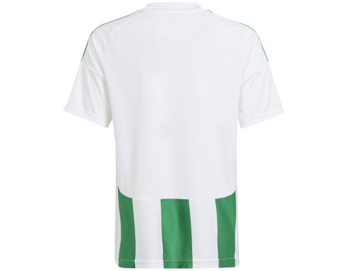 Koszulka adidas STRIPED 24 JSY Jr IW2138