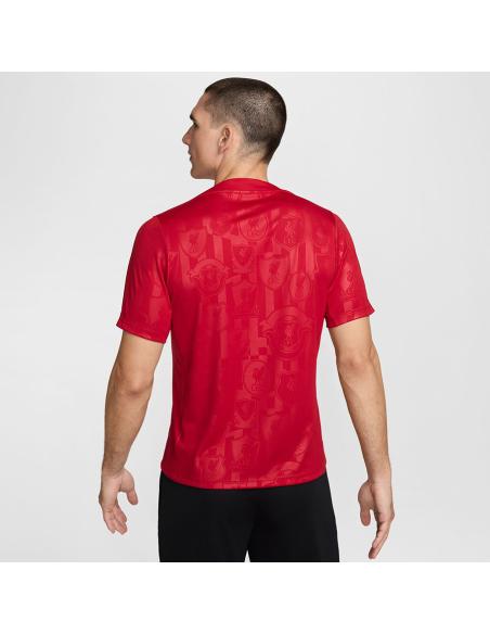 Koszulka Nike Liverpool FC Academy Pro SStop FN9653-688