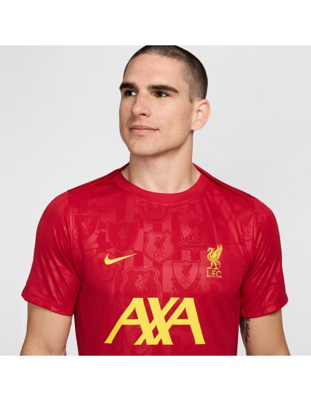 Koszulka Nike Liverpool FC Academy Pro SStop FN9653-688