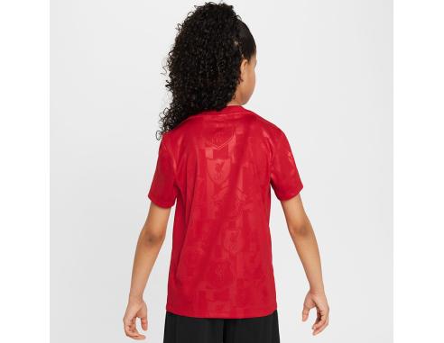 Koszulka Nike Liverpool FC Academy Pro SS Top Jr FQ0013-688