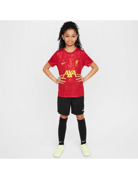 Koszulka Nike Liverpool FC Academy Pro SS Top Jr FQ0013-688