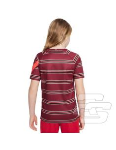 Koszulka Nike Liverpool FC DB2923 614 2