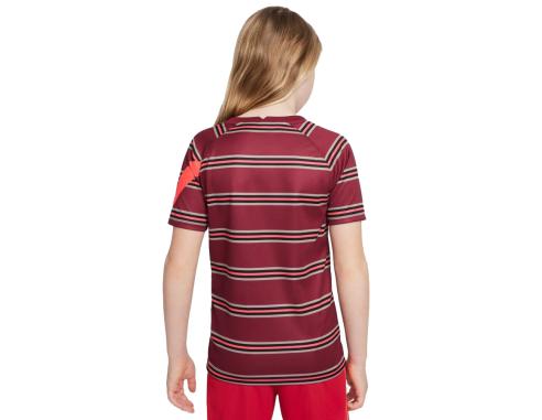 Koszulka Nike Liverpool FC DB2923 614