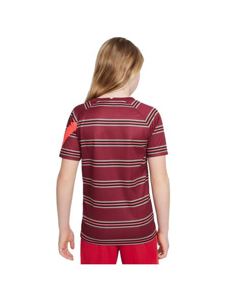 Koszulka Nike Liverpool FC DB2923 614