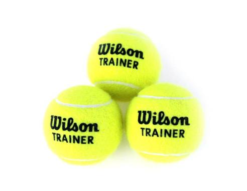 Piłka tenisowa Wilson Trainerball / Triniti Club