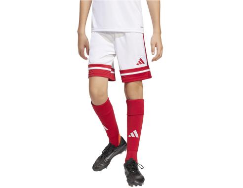 Spodenki adidas SQUADRA Junior JJ2424