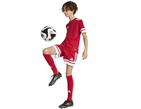 Spodenki adidas SQUADRA 25 JJ2416