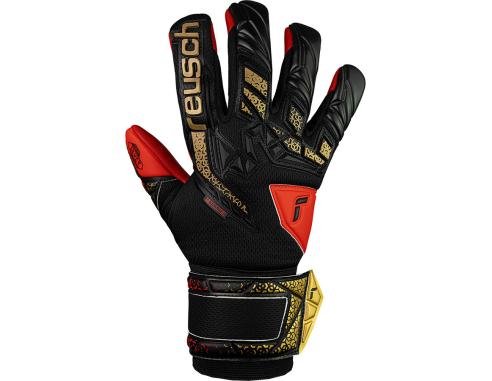 Rękawice Reusch Attrakt Freegel Silver 55 70 235 7075