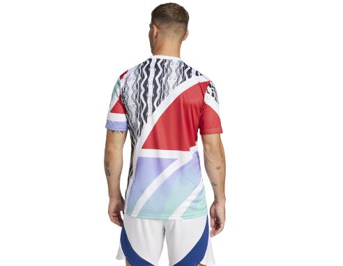 Koszulka adidas Arsenal Londyn Pre-Match JE7562