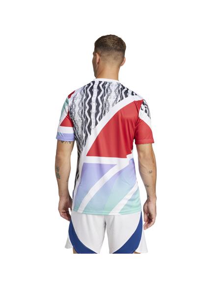 Koszulka adidas Arsenal Londyn Pre-Match JE7562