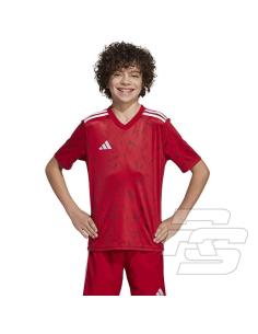 Koszulka adidas Team Icon 25 JSY Junior JM8362