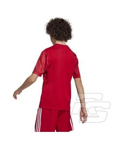 Koszulka adidas Team Icon 25 JSY Junior JM8362 2