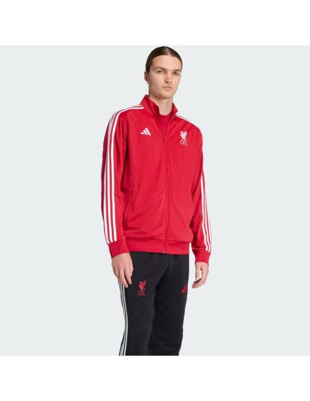 Bluza adidas Liverpool FC DNA Training Top JW7892
