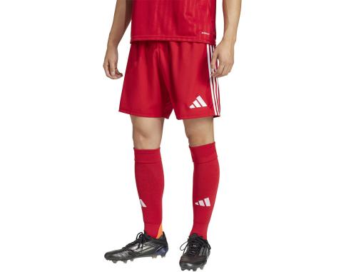 Spodenki adidas TASTIGO JN7157