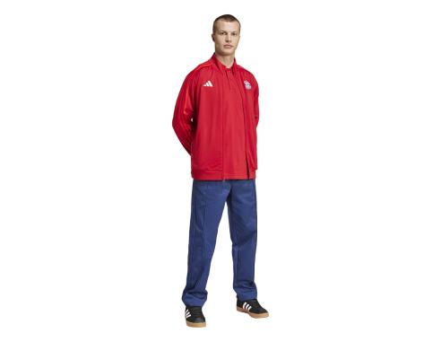 Bluza adidas FC Bayern DNA Track Top IT4154