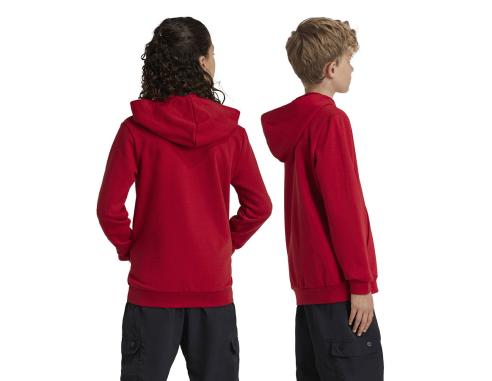 Bluza adidas FC Bayern HD Junior Jr IT4134