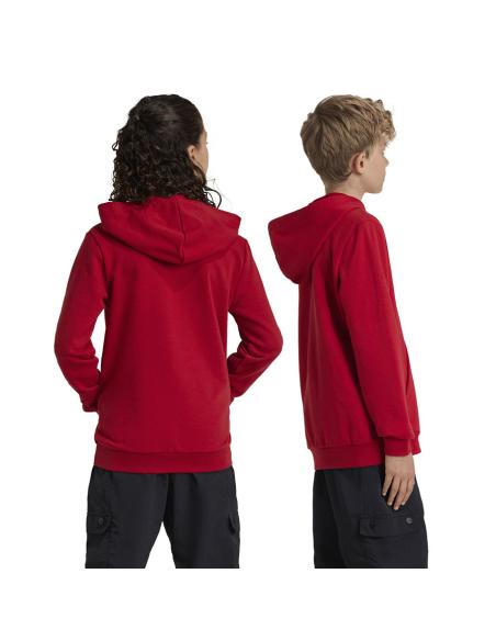 Bluza adidas FC Bayern HD Junior Jr IT4134