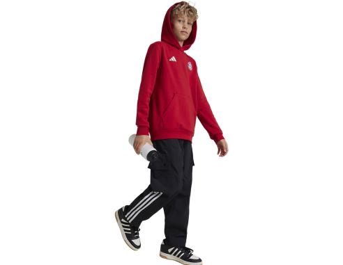Bluza adidas FC Bayern HD Junior Jr IT4134