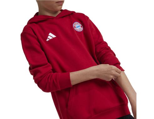 Bluza adidas FC Bayern HD Junior Jr IT4134