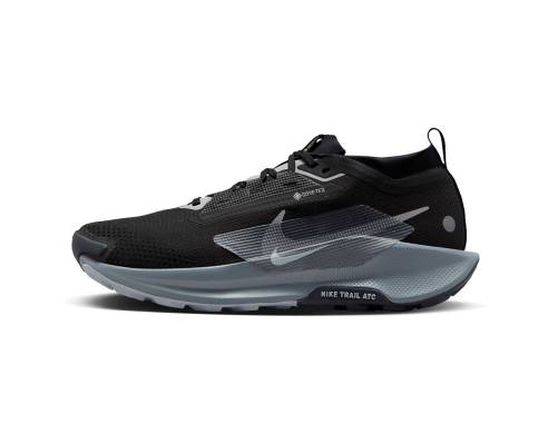 Buty Nike Pegasus Trail 5 Gore-Tex FQ0908-001
