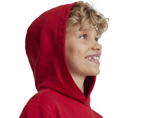 Bluza adidas FC Bayern HD Junior Jr IT4134