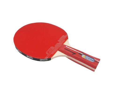 Rakietka Best Sporting TRAINING