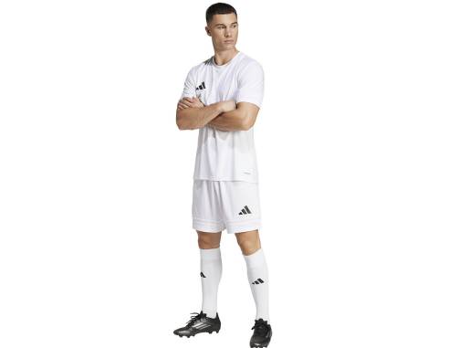 Spodenki adidas SQUADRA 25 JH3406