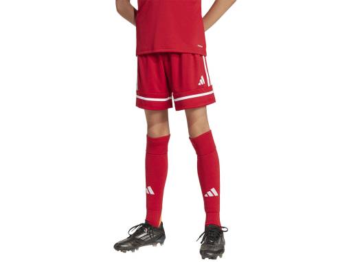 Spodenki adidas SQUADRA 25 JN5456