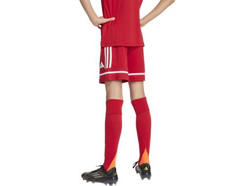 Spodenki adidas SQUADRA 25 JN5456
