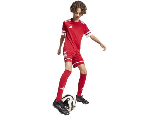 Spodenki adidas SQUADRA 25 JN5456