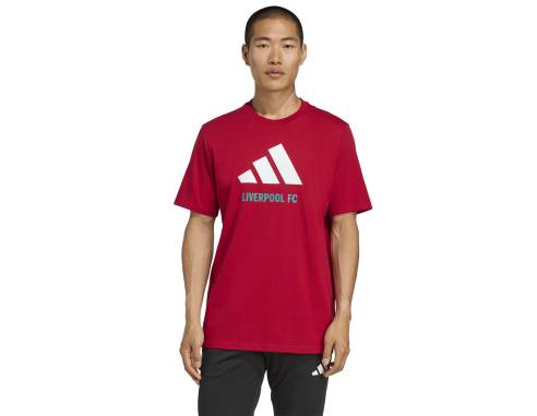 Koszulka adidas Liverpool FC Seasonal DNA Graphic Tee 2 JY3466