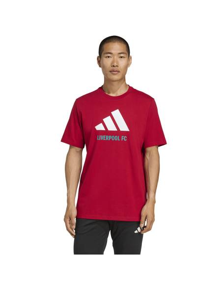 Koszulka adidas Liverpool FC Seasonal DNA Graphic Tee 2 JY3466
