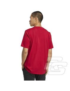 Koszulka adidas Liverpool FC Seasonal DNA Graphic Tee 2 JY3466 2