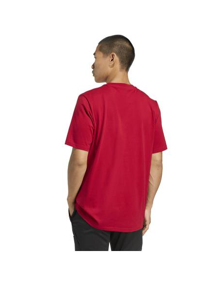 Koszulka adidas Liverpool FC Seasonal DNA Graphic Tee 2 JY3466