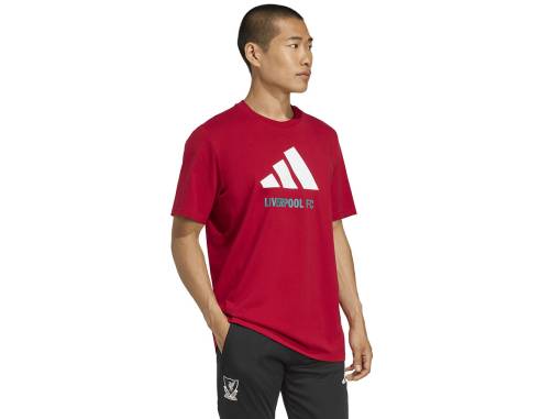 Koszulka adidas Liverpool FC Seasonal DNA Graphic Tee 2 JY3466