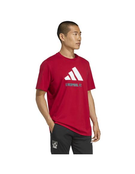 Koszulka adidas Liverpool FC Seasonal DNA Graphic Tee 2 JY3466