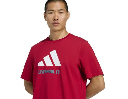 Koszulka adidas Liverpool FC Seasonal DNA Graphic Tee 2 JY3466