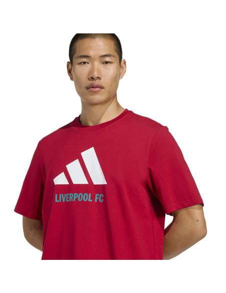 Koszulka adidas Liverpool FC Seasonal DNA Graphic Tee 2 JY3466