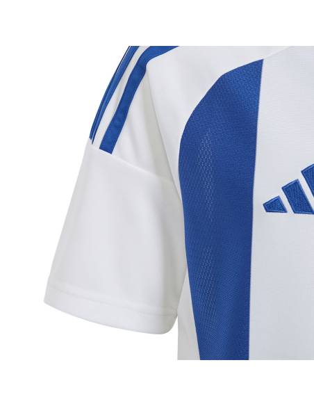 Koszulka adidas STRIPED 24 JSY IW2134