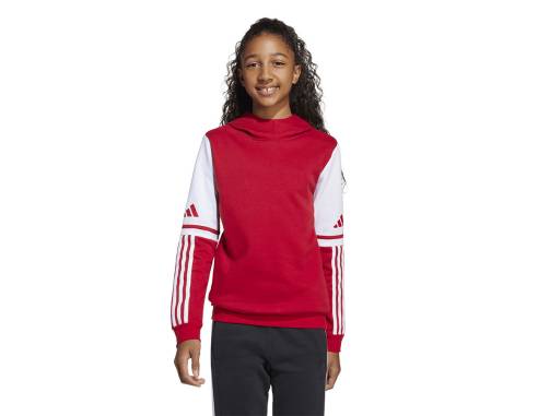 Bluza adidas SQUADRA 25 Sweat Hoody JD4805