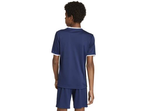 Koszulka adidas Entrada 26 JSY JZ2522