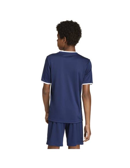 Koszulka adidas Entrada 26 JSY JZ2522