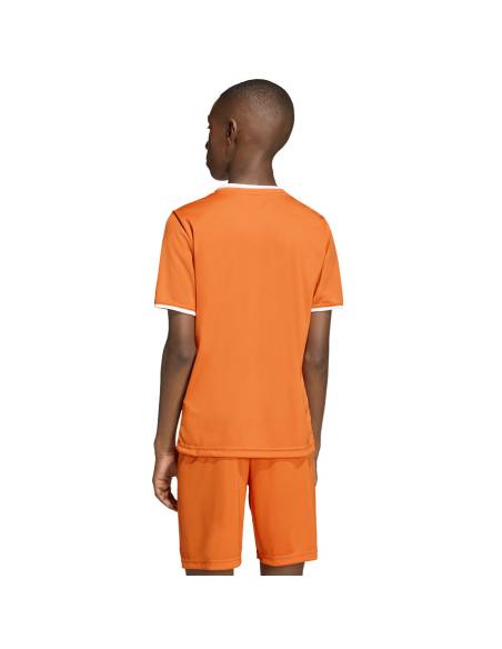 Koszulka adidas Entrada 26 JSY JZ2526