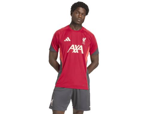 Koszulka adidas Liverpool FC Training JSY KB1466