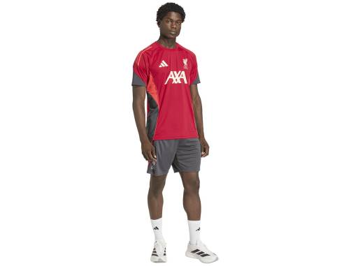 Koszulka adidas Liverpool FC Training JSY KB1466
