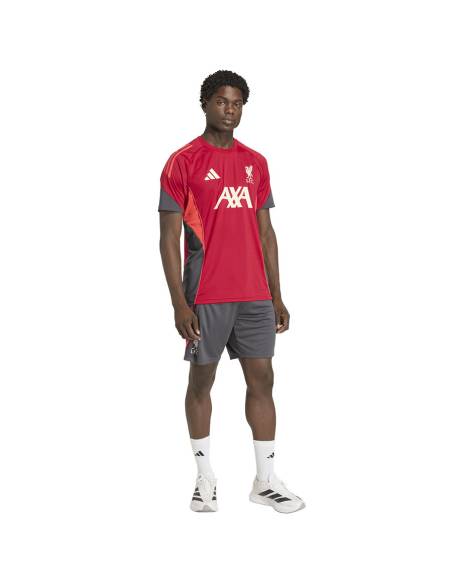 Koszulka adidas Liverpool FC Training JSY KB1466